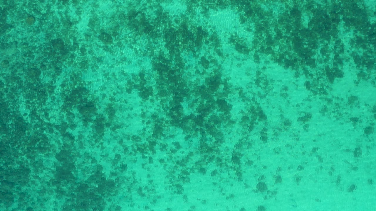 Overhead view of blue-green sea water in El Sargento La Ventana, Mexico, with dark submerged seaweed-like patches and no visible people.