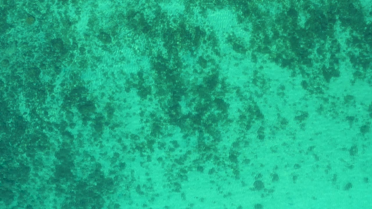 Mottled turquoise water with submerged dark areas