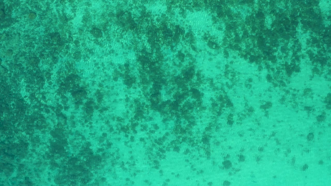 Straight-down blue-green ocean view in El Sargento La Ventana, Mexico, showing irregular seaweed-like shadows below the water and no visible people.