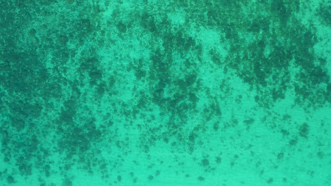 Green-blue overhead water texture in El Sargento La Ventana, Mexico, with clustered dark patches near the top and middle and no visible people.