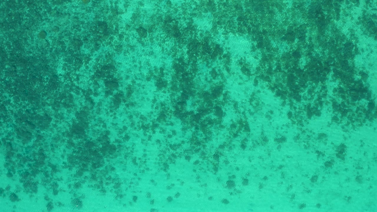 Aqua overhead water in El Sargento La Ventana, Mexico, showing blurry dark sea bottom markings spread across the frame and no visible people.