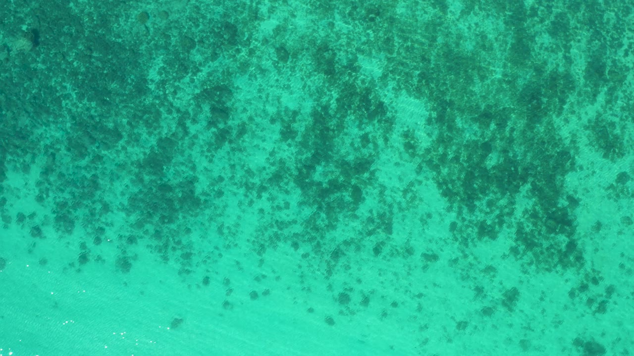 Green-blue ocean water in El Sargento La Ventana, Mexico, shows a dense mottled algae pattern across the top and center with no visible people.