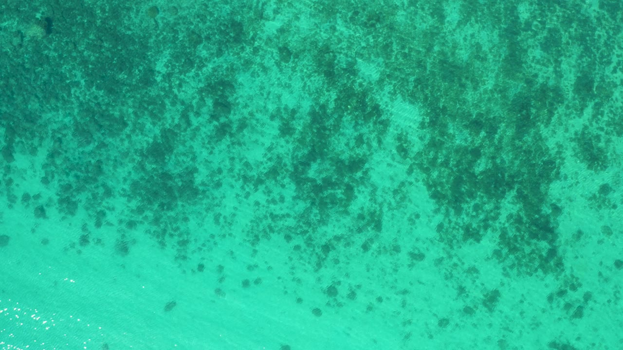 Turquoise sea surface in El Sargento La Ventana, Mexico, with scattered dark algae clusters, pale sandy-toned shallows, and no visible people.