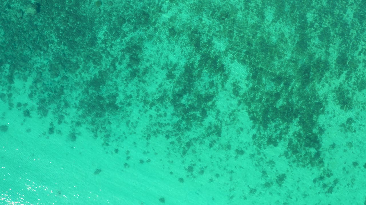 Overhead ocean view in El Sargento La Ventana, Mexico, with dark algae in the upper area, brighter aqua water below, and no visible people.