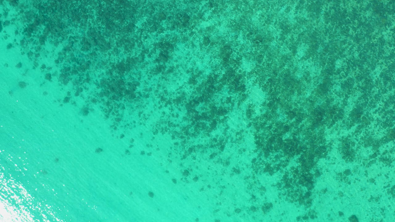 Straight-down aerial frame over clear green water in El Sargento La Ventana, Mexico, with dark seabed patterns near the top and no visible people.