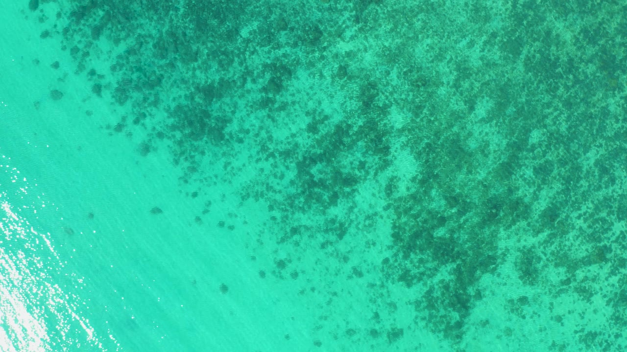 Straight-down aerial view over clear green water in El Sargento La Ventana, Mexico, with darker underwater growth patterns centered in frame and no visible people.