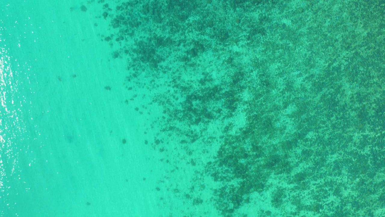 Overhead aqua water in El Sargento La Ventana, Mexico, with dark reef or sea grass concentrated on the right side and no visible people or boats.