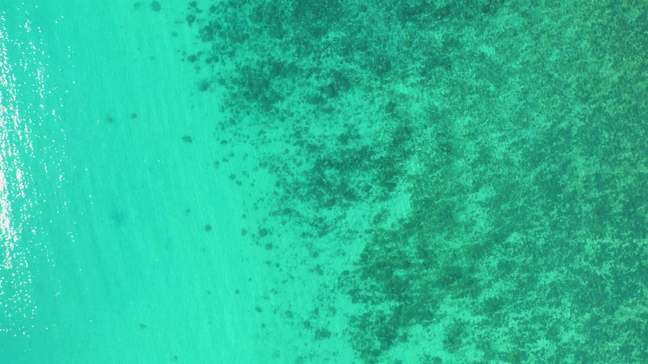 Bird's-eye view of turquoise shallow sea in El Sargento La Ventana, Mexico, with a dense dark underwater mass across the right and center and no visible people.
