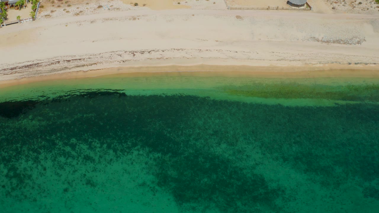 Near-vertical drone view over El Sargento La Ventana showing pale beach, a thin tan waterline, and green ocean with mottled darker areas, with no visible people.