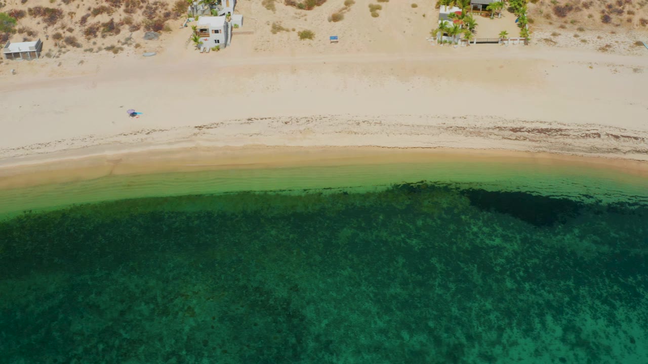 At 0:01, the aerial frame shows a long pale beach across the upper frame, green water below, a dark algae band near shore, a few small buildings inland, and no visible people.