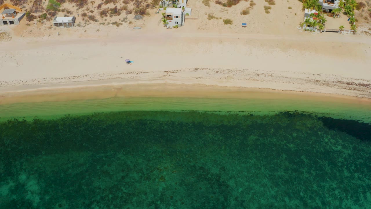 Overhead beach strip with dark algae in shallow water