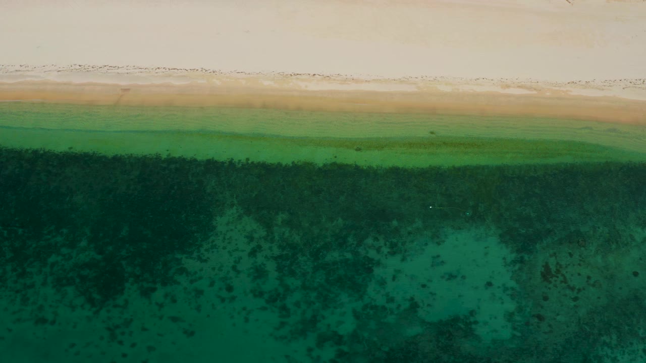 Aerial shoreline with pale sand above green water and dark patches below