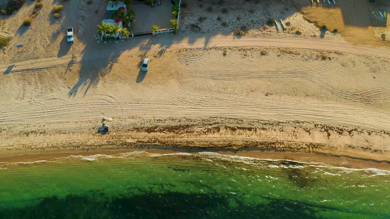 Top-down shoreline with green surf and tire-marked sand