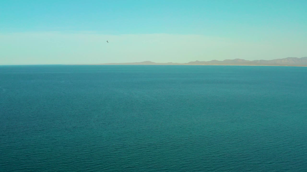Wide teal ocean with distant coastline and a small bird in the sky