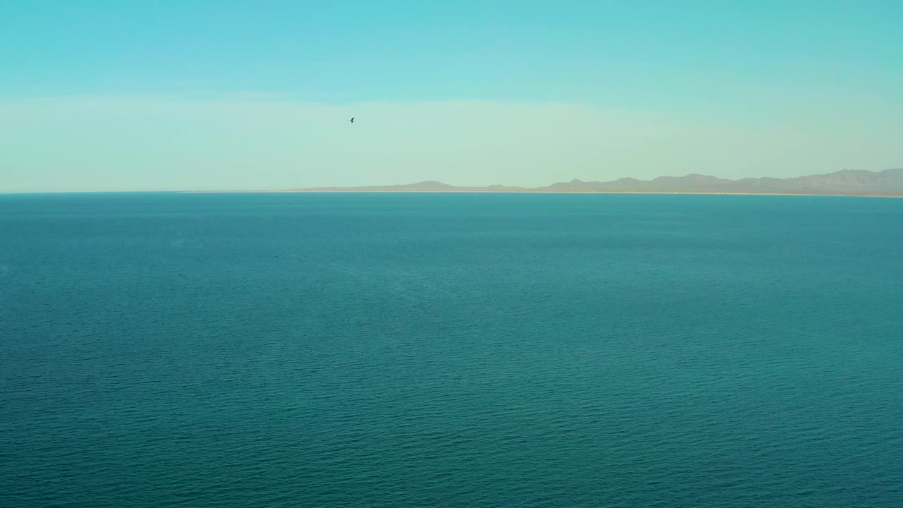 Teal sea stretches toward a far shoreline in El Sargento La Ventana, Mexico, with the bird positioned near the upper center of the pale sky and no visible people.