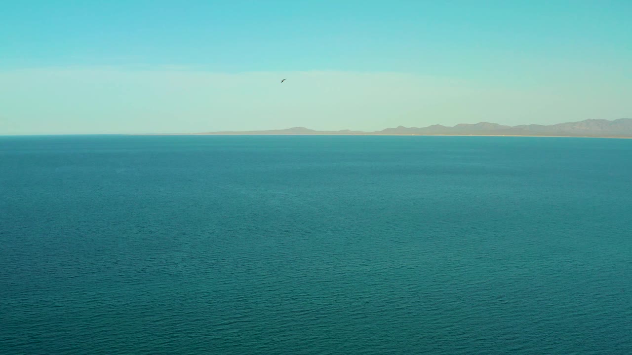 Calm ocean surface sits below a pale sky in El Sargento La Ventana, Mexico, with distant land running across the horizon and a small bird visible above it, no visible people.