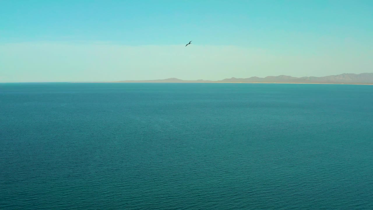 The bird appears near the upper sky over the blue sea, with the El Sargento La Ventana coastline stretched across the distant horizon and no visible people.