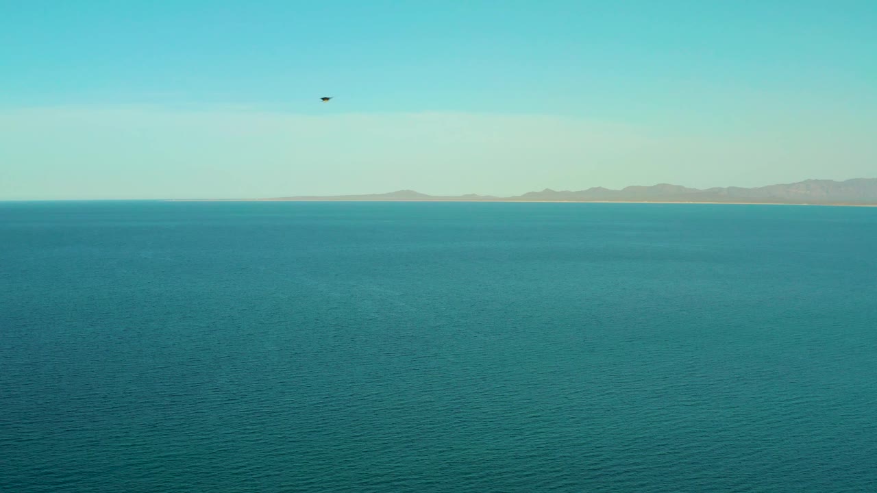 A tiny bird is visible near the top of the frame above open blue water, with low mountains and coastline in the distance near El Sargento La Ventana, Mexico, and no visible people.