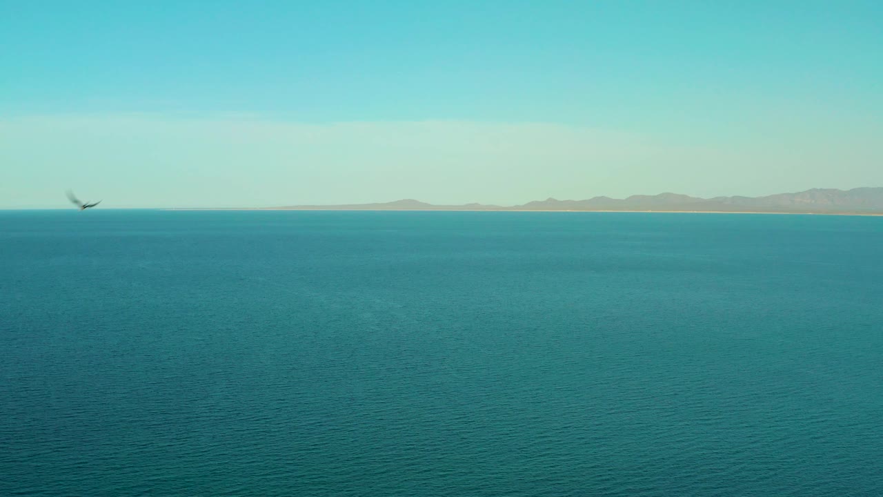 A blurred bird shape crosses the left edge of the frame above blue water, with a low mountain coastline across the horizon near El Sargento La Ventana, Mexico, and no visible people.