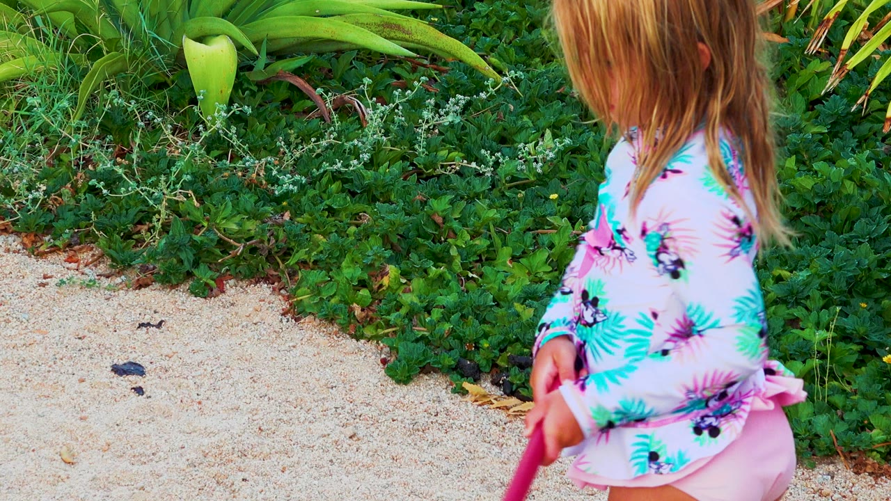 Young girl in a pink floral swim top stands near pale sand and dense green plants in Mexico while holding a red shovel at the start of the clip.