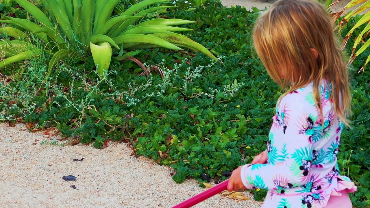 The girl is seen from the side and back in Mexico, her hair covering much of her face while she holds the red shovel beside sand and thick green planting.