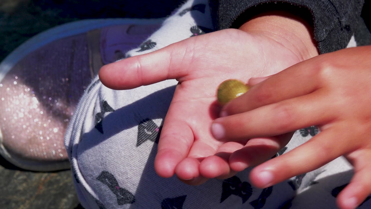 At the start of the El Sargento La Ventana clip, a hand reaches over an open palm as a tan ridged round object is being set down in bright sun.