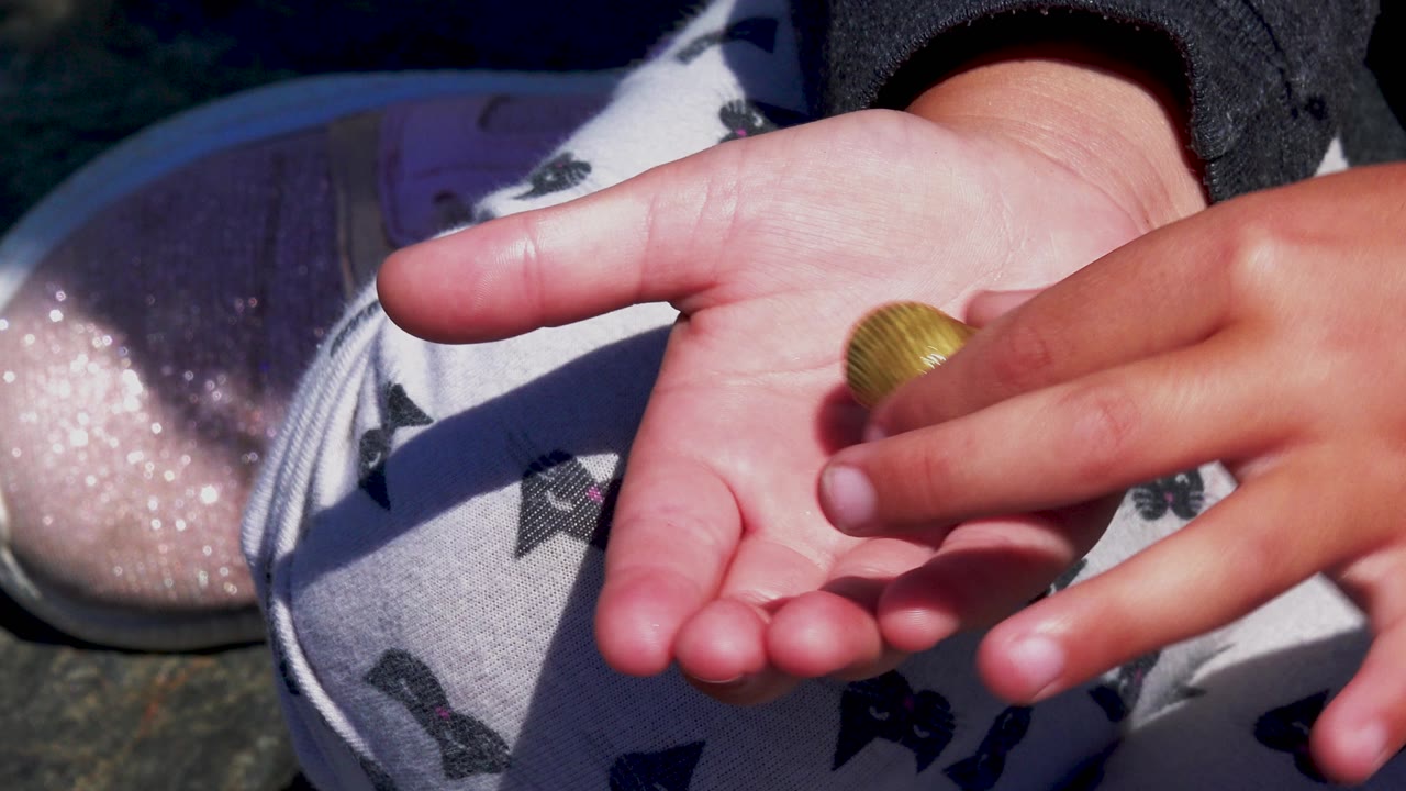 Hand lowering a tan round object toward an open palm.