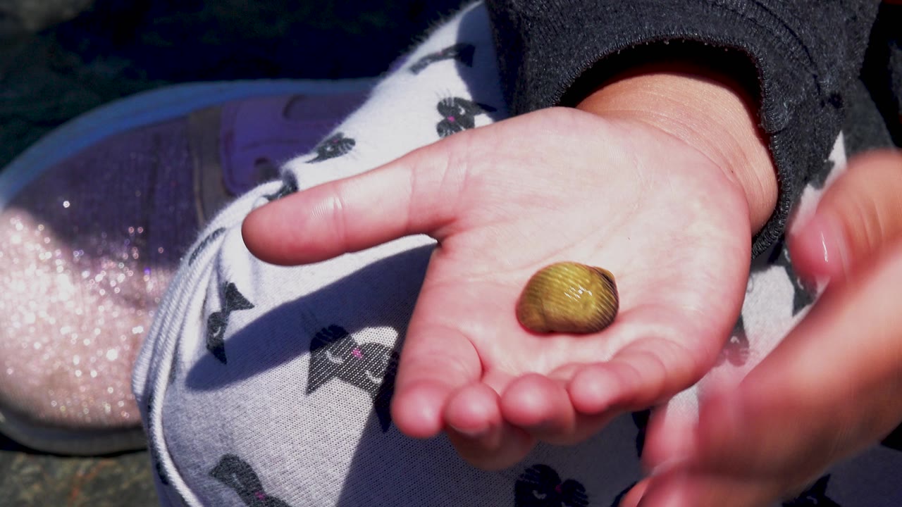 The tan ridged object rests in the center of an open palm while another hand moves out of frame, leaving the patterned pants and pink shoe in the background.
