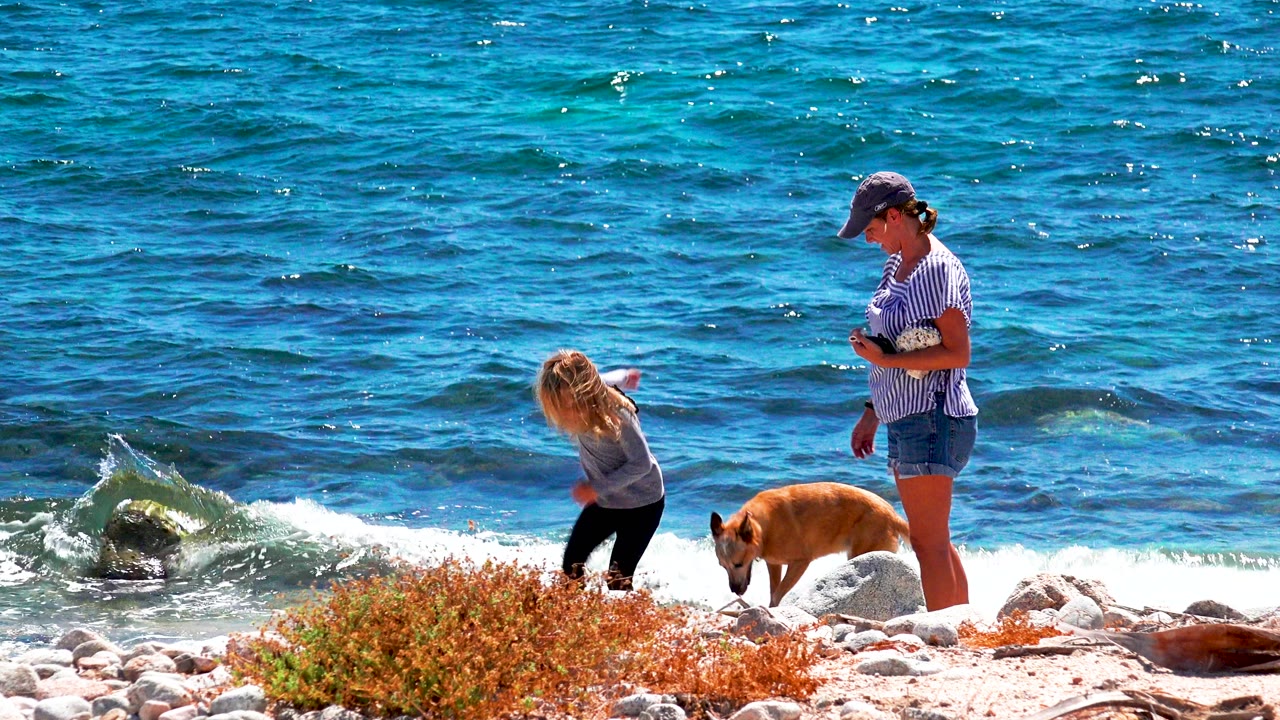 At El Sargento La Ventana, Mexico, an older woman stands near a tan dog while a child bends toward the rocky shoreline beside bright blue water.
