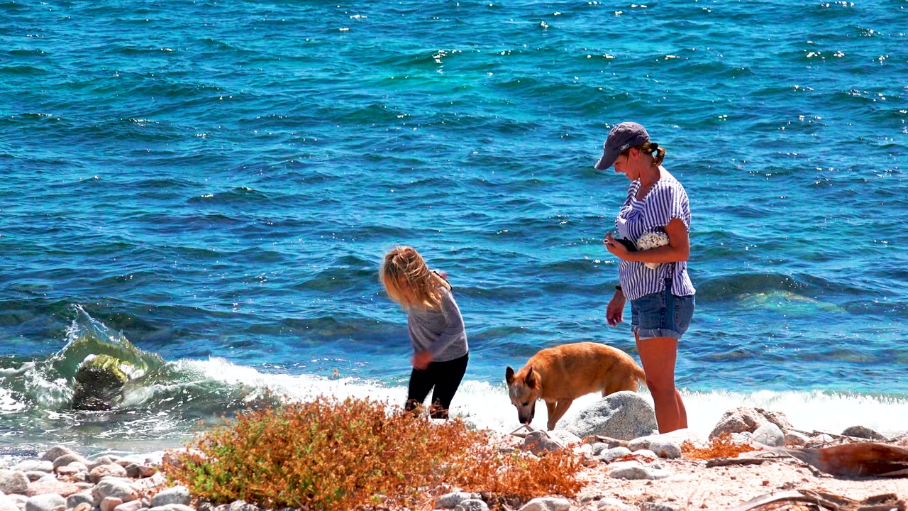 Child and dog near surf while a woman looks down on the beach.