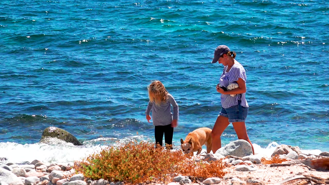 At El Sargento La Ventana, Mexico, the woman and child continue along the stony beach as the dog walks ahead and a small wave breaks behind them.