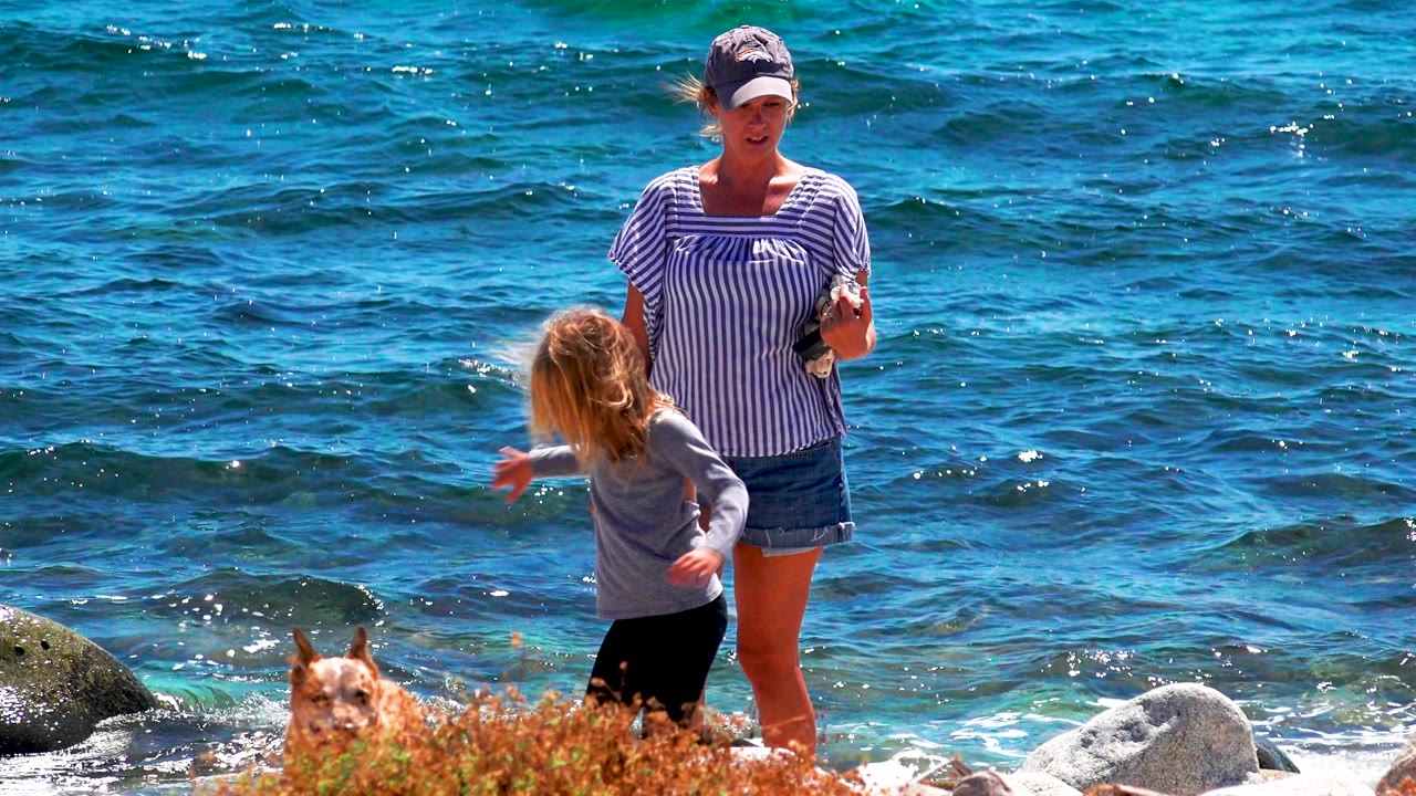 Woman and child walk near surf with a dog partly hidden.