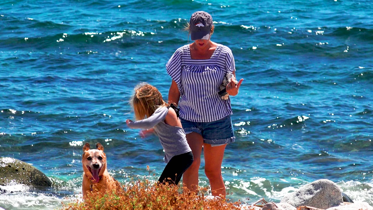 The child turns toward a tan dog while the woman looks down near the rocky surf in El Sargento La Ventana, Mexico, with bright blue water behind them.
