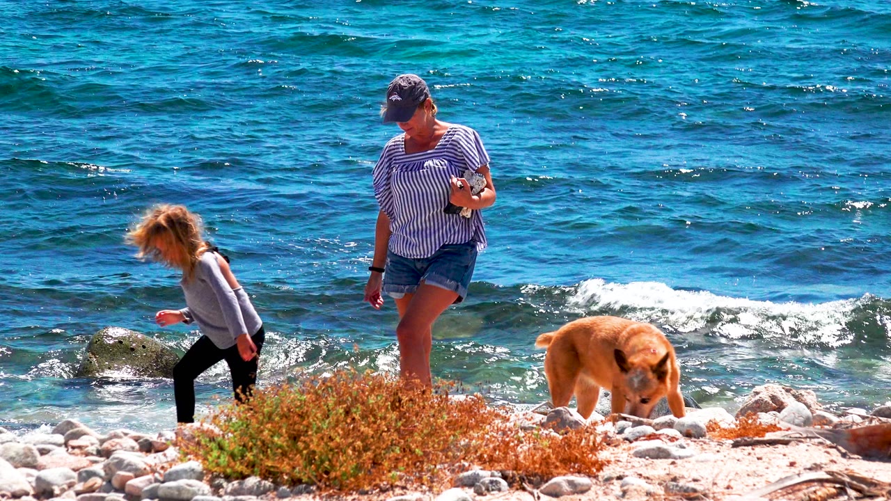 At El Sargento La Ventana, Mexico, a woman in a striped shirt stands on pale shoreline rocks while a child moves left and a golden dog sniffs near the surf.