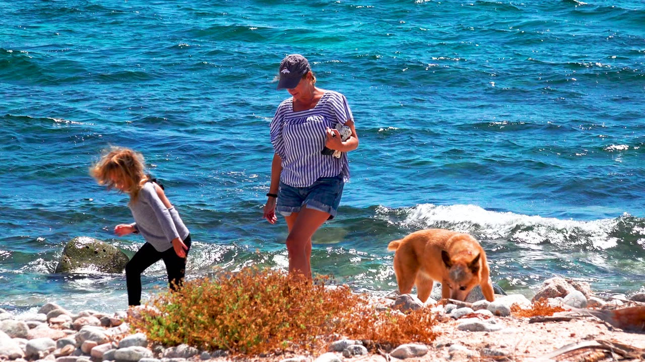 Child walking near woman and dog on a sunny rocky beach.