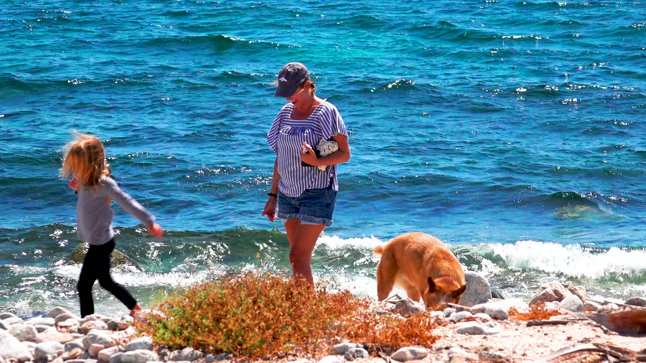 At El Sargento La Ventana, Mexico, the child moves farther right in front of the woman while the golden dog stands near the rocks and white surf behind them.