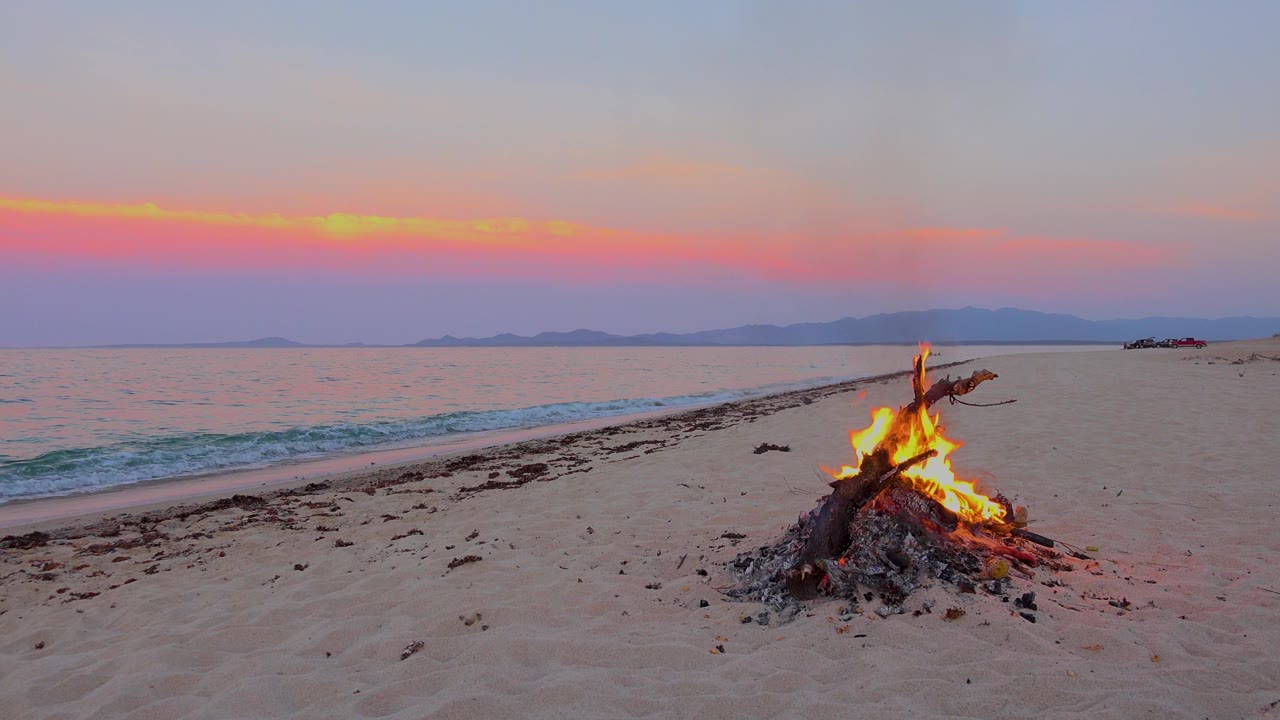 Flames rise from driftwood on a quiet beach at dusk.
