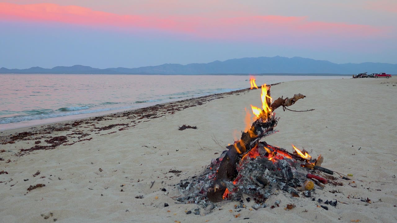 Beach fire with flames rising from driftwood near a waterline.