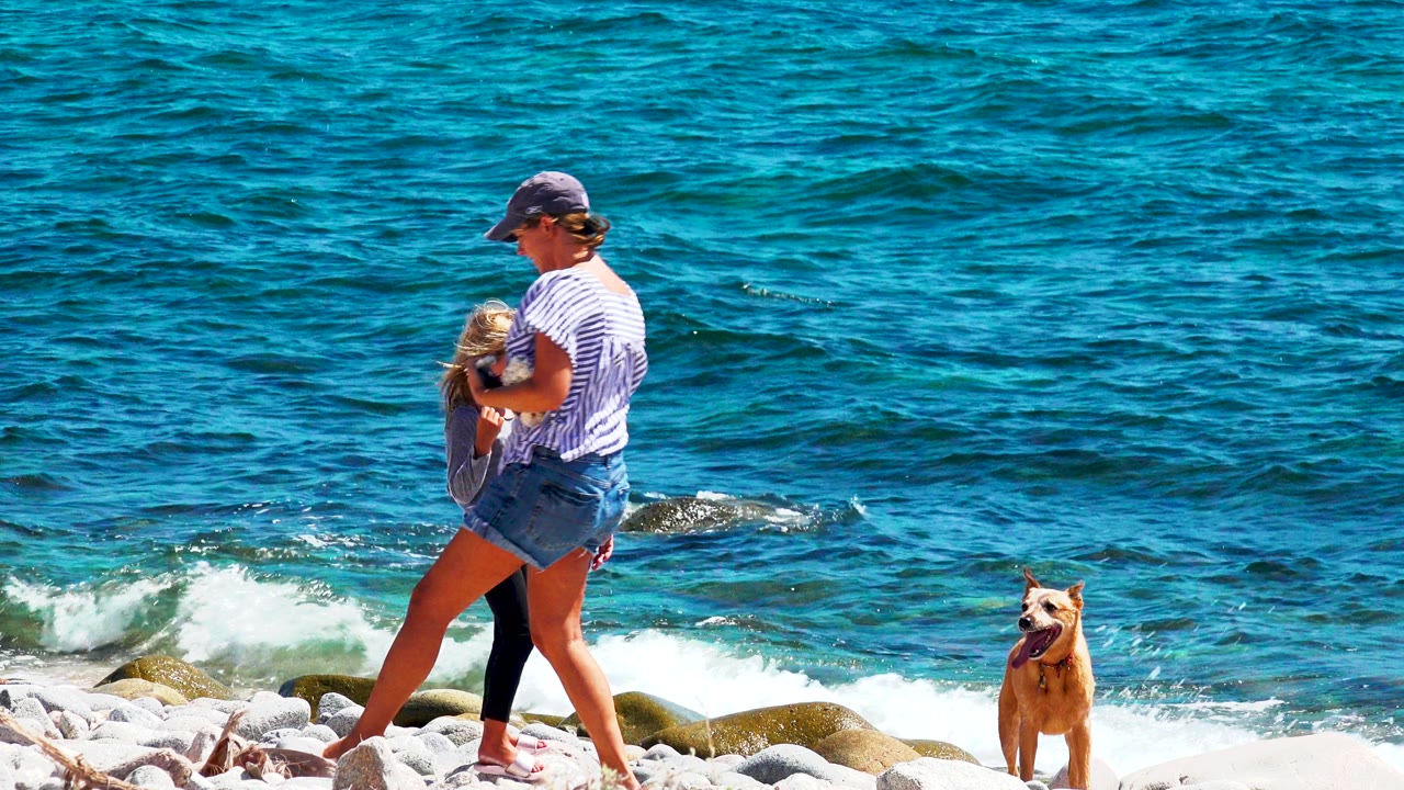 At 0:00 in El Sargento La Ventana, Mexico, an adult in a striped shirt stands near a blond child and a tan dog on pale shoreline rocks beside bright blue water.