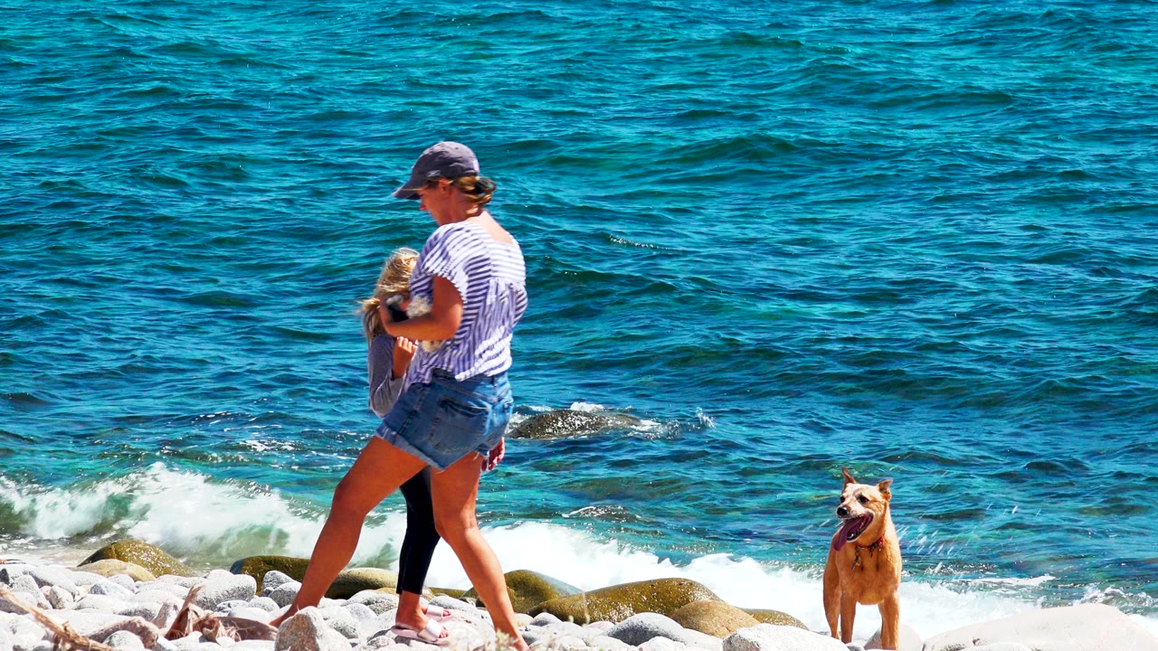 Adult and child close together as a dog stands on rocks near surf.