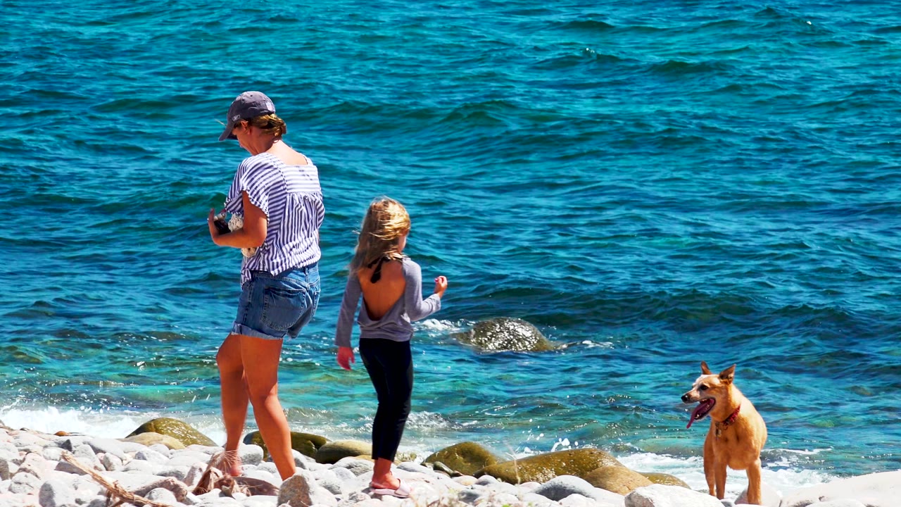 At 0:02 in El Sargento La Ventana, Mexico, the adult looks down while the child steps toward the water and the tan dog stands farther right on the rocky beach.