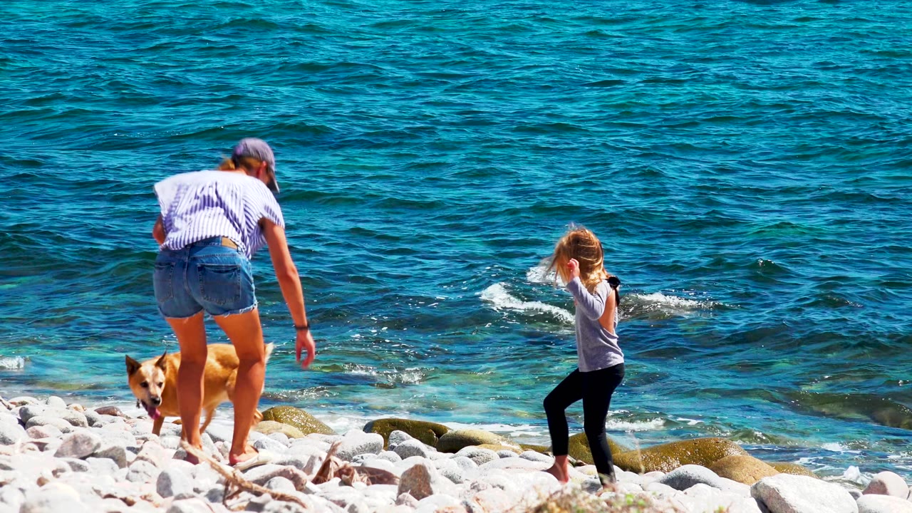 Woman reaches down as a child and dog stand near shoreline rocks.