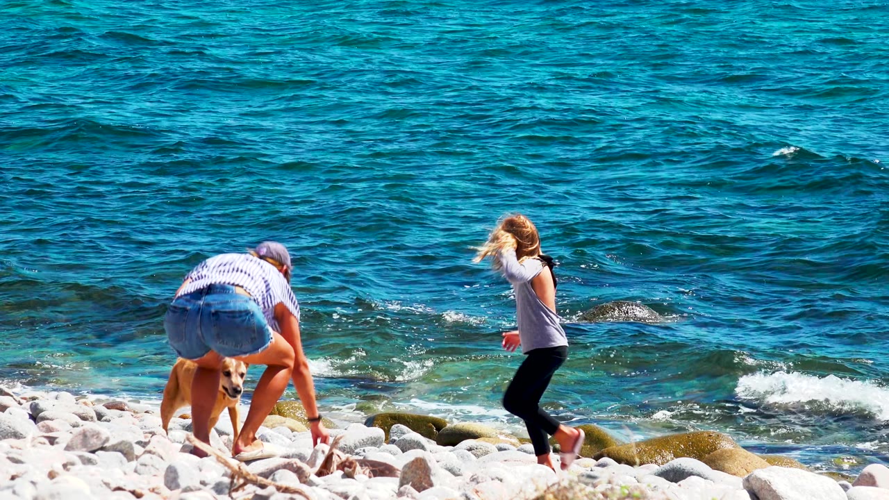 At El Sargento La Ventana, Mexico, the dog remains near the woman as the young girl turns toward the surf on the rocky shore.
