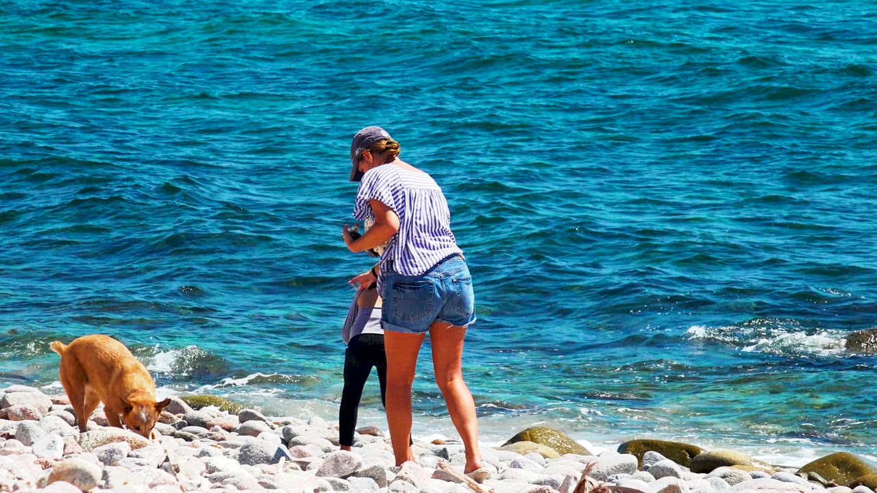 Woman bends toward a child while a tan dog sniffs rocks near the surf.
