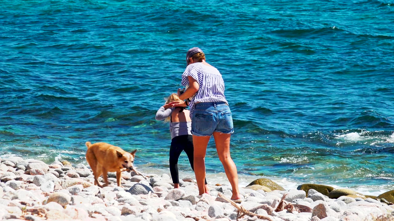 The child stands near the surf while the tan dog walks across the rocks and the woman watches from the right at El Sargento La Ventana, Mexico.