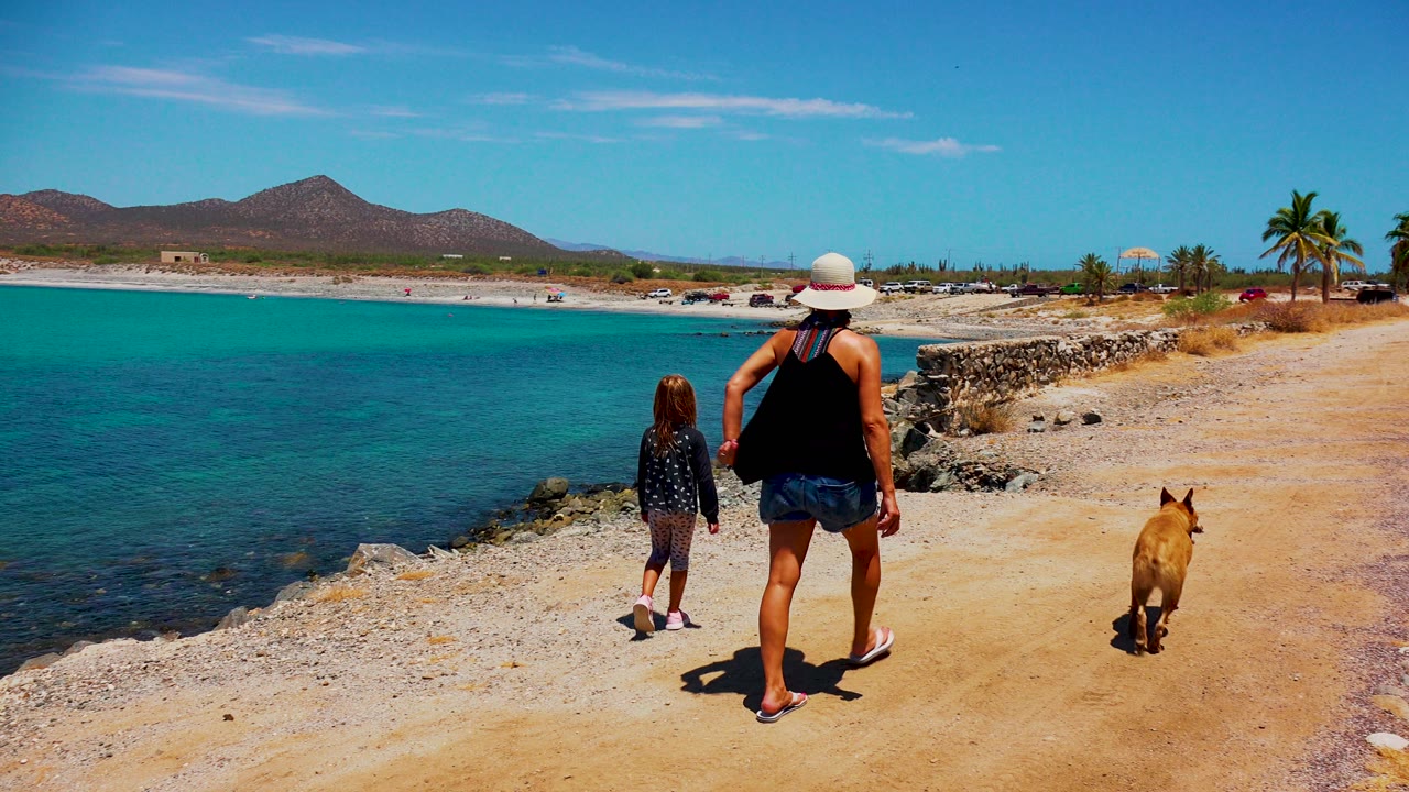 At 0:02, the child walks closer to the water while the woman follows on the path and the dog moves along the right side, with palm trees and low hills in the distance.