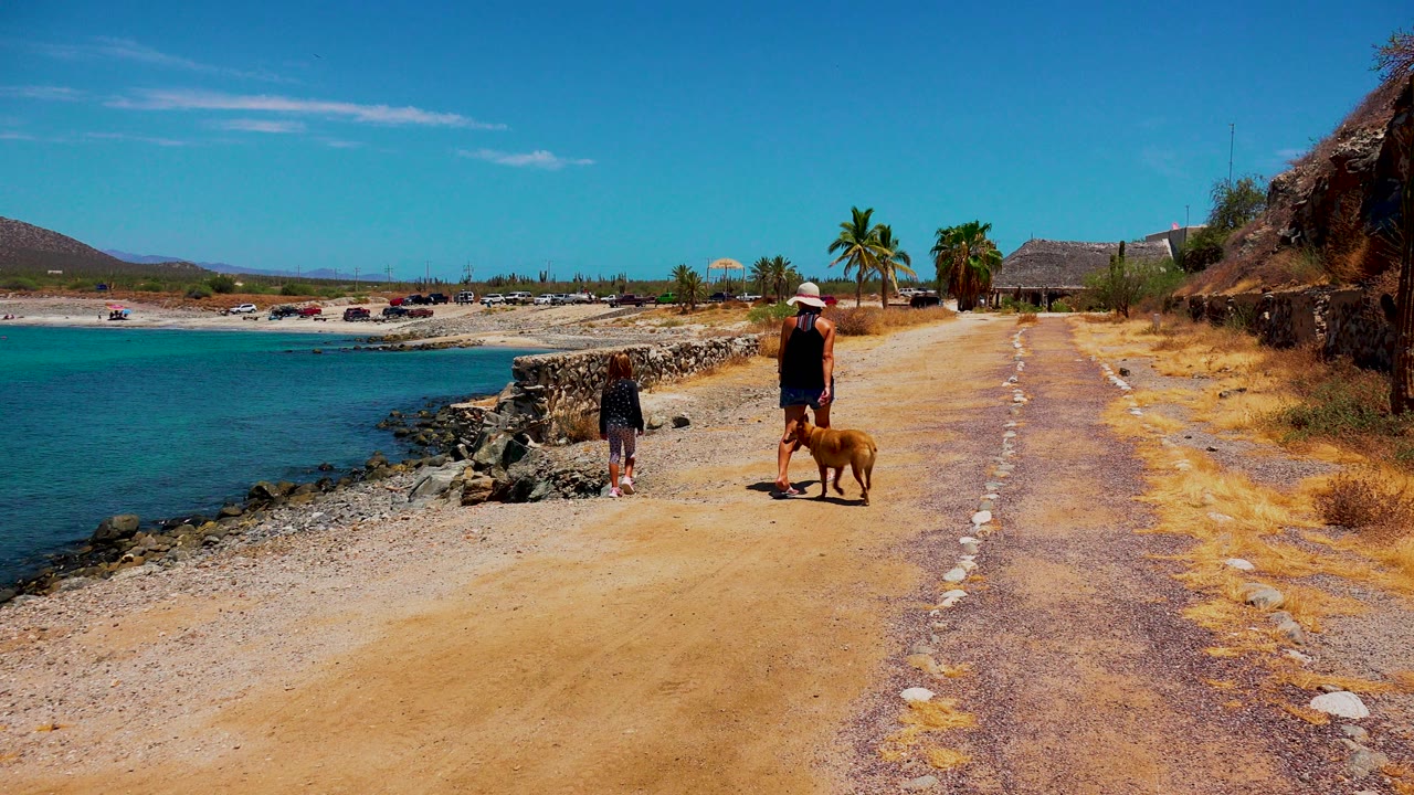 Child ahead of a woman and dog on a sunny beachside path.