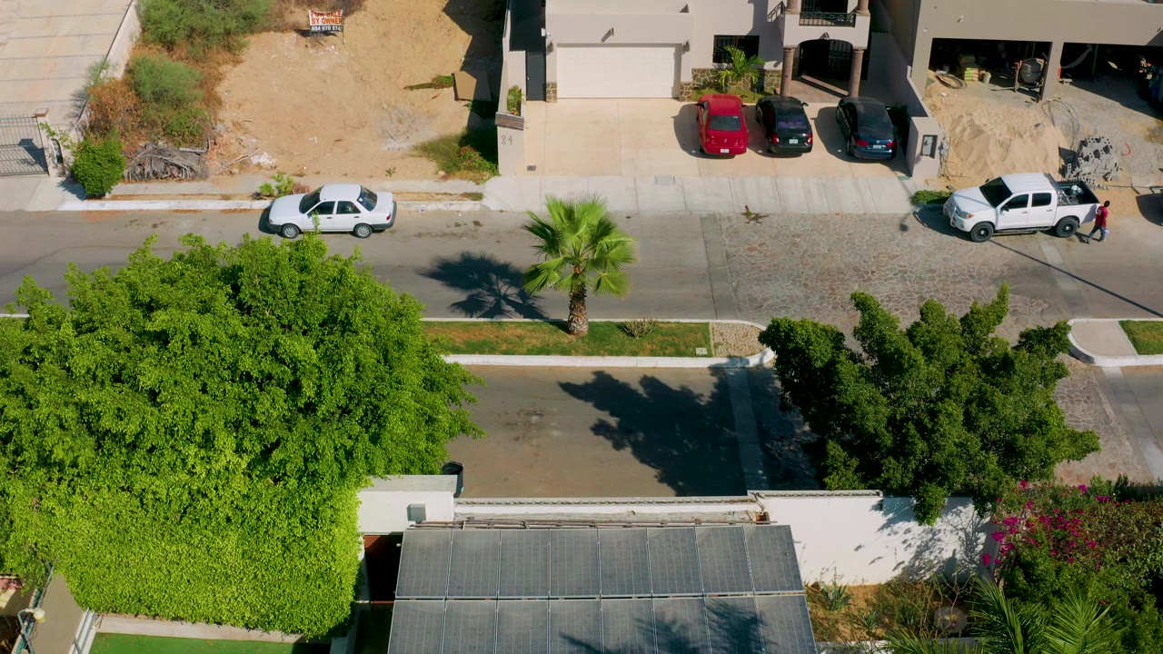 Aerial frame in Los Cabos, Mexico with a broad tree canopy in the lower half, a paved residential street above it, parked cars, driveways, and no visible people.