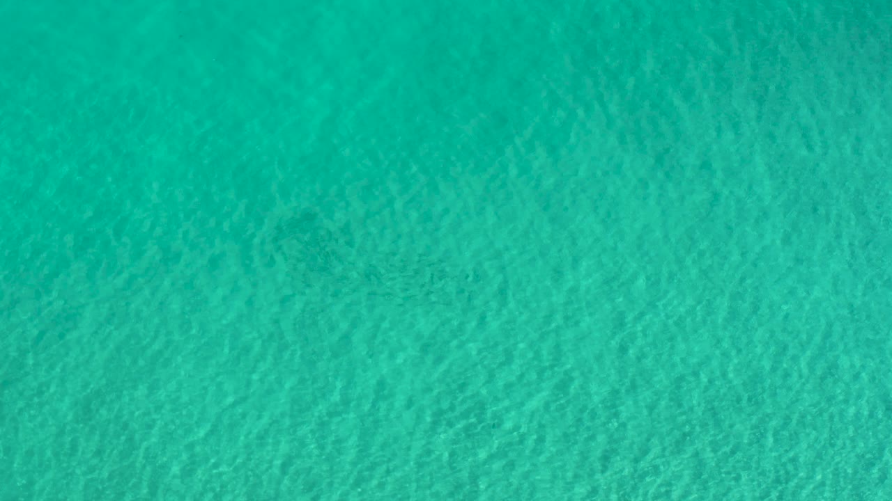 Sunlit turquoise water in Los Cabos fills the frame with fine wind-made texture and no visible people, horizon, or shoreline.