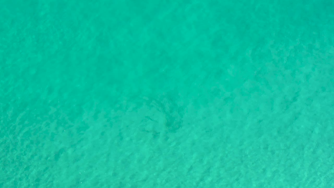 Clear green-blue water with soft ripple patterns across the frame.